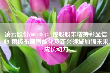 凌云股份(600480)：控股股东增持彰显信心 积极布局智能化及新兴领域加强未来成长动力