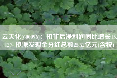 云天化(600096)：扣非后净利润同比增长15.12% 拟派发现金分红总额25.52亿元(含税)