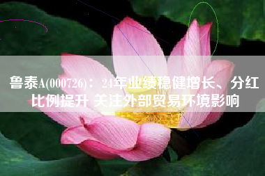 鲁泰A(000726)：24年业绩稳健增长、分红比例提升 关注外部贸易环境影响