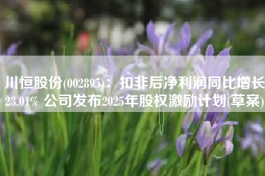 川恒股份(002895)：扣非后净利润同比增长23.01% 公司发布2025年股权激励计划(草案)