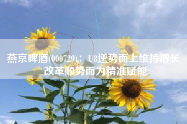 燕京啤酒(000729)：U8逆势而上维持增长 改革顺势而为精准赋能