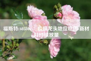 福斯特(603806)：胶膜龙头地位稳固 新材料持续放量