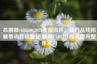 芯朋微(688508)2024年报点评：新产品线拓展带动营收增长 转向FABLITE模式提升整体实力