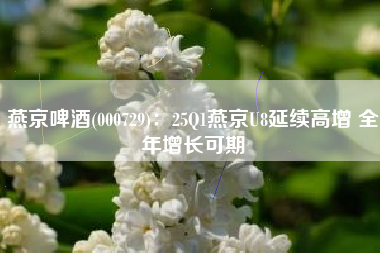 燕京啤酒(000729)：25Q1燕京U8延续高增 全年增长可期