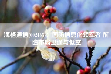 海格通信(002465)：国防信息化领军者 前瞻布局卫通与低空