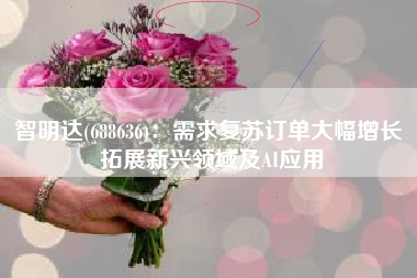 智明达(688636)：需求复苏订单大幅增长 拓展新兴领域及AI应用