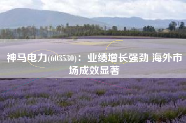 神马电力(603530)：业绩增长强劲 海外市场成效显著