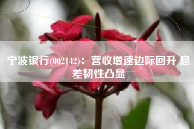 宁波银行(002142)：营收增速边际回升 息差韧性凸显