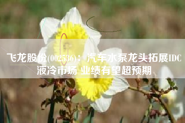 飞龙股份(002536)：汽车水泵龙头拓展IDC液冷市场 业绩有望超预期
