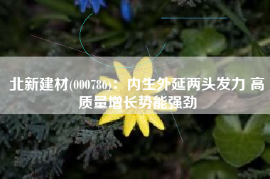北新建材(000786)：内生外延两头发力 高质量增长势能强劲