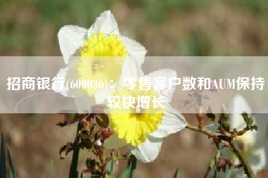 招商银行(600036)：零售客户数和AUM保持较快增长