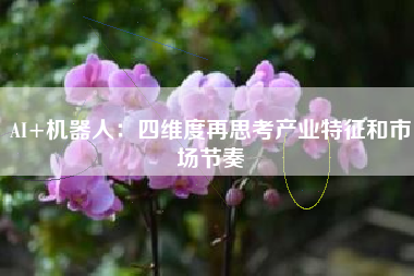 AI+机器人：四维度再思考产业特征和市场节奏