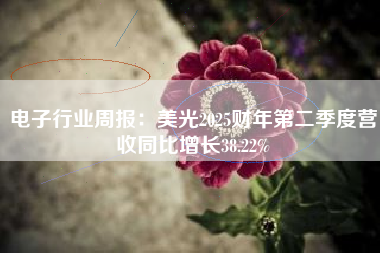 电子行业周报:美光2025财年第二季度营收同比增长38.22% 电子行业周报:美光2025财年第二季度营收同比增长38.22%