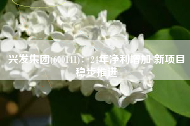 兴发集团(600141)：24年净利增加 新项目稳步推进