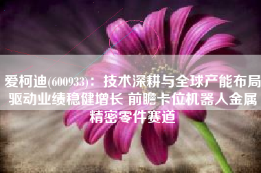 爱柯迪(600933)：技术深耕与全球产能布局驱动业绩稳健增长 前瞻卡位机器人金属精密零件赛道