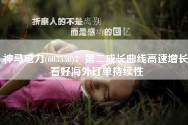 神马电力(603530)：第二成长曲线高速增长 看好海外订单持续性