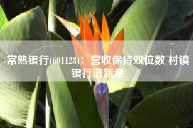 常熟银行(601128)：营收保持双位数 村镇银行谱新章
