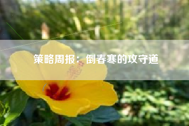 策略周报：倒春寒的攻守道