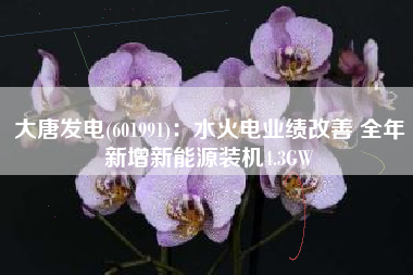 大唐发电(601991)：水火电业绩改善 全年新增新能源装机4.3GW