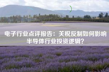 电子行业点评报告：关税反制如何影响半导体行业投资逻辑？