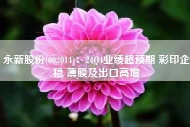 永新股份(002014)：24Q4业绩超预期 彩印企稳 薄膜及出口高增