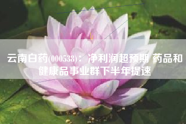 云南白药(000538)：净利润超预期 药品和健康品事业群下半年提速