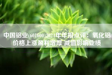 中国铝业(601600)2024年年报点评：氧化铝价格上涨盈利增厚 减值影响业绩