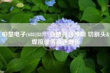 柏楚电子(688188)：业绩符合预期 切割头&焊接业务高速增长