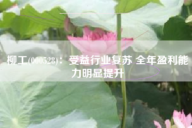 柳工(000528)：受益行业复苏 全年盈利能力明显提升