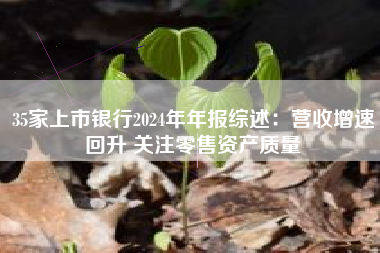 35家上市银行2024年年报综述：营收增速回升 关注零售资产质量