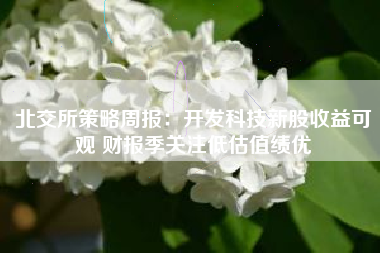 北交所策略周报：开发科技新股收益可观 财报季关注低估值绩优