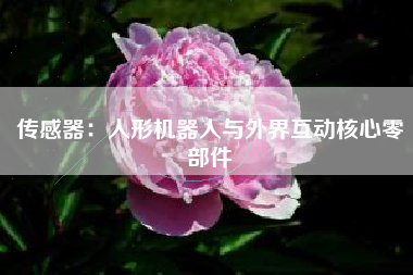 传感器：人形机器人与外界互动核心零部件