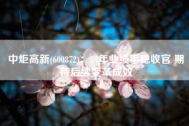 中炬高新(600872)：24年业绩平稳收官 期待后续变革成效