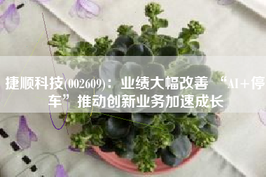捷顺科技(002609)：业绩大幅改善 “AI+停车”推动创新业务加速成长