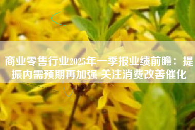 商业零售行业2025年一季报业绩前瞻：提振内需预期再加强 关注消费改善催化