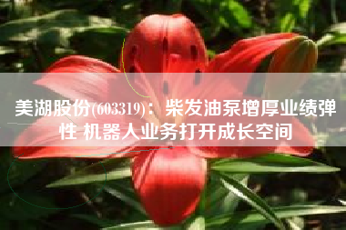 美湖股份(603319)：柴发油泵增厚业绩弹性 机器人业务打开成长空间