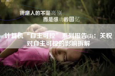 计算机“自主可控”系列报告(3)：关税对自主可控的影响拆解