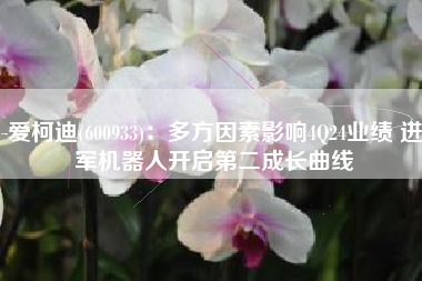 爱柯迪(600933)：多方因素影响4Q24业绩 进军机器人开启第二成长曲线