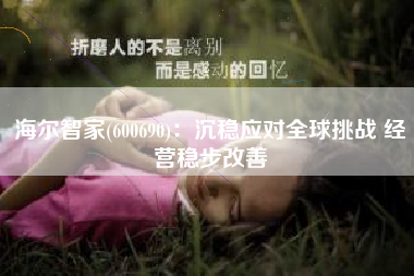 海尔智家(600690)：沉稳应对全球挑战 经营稳步改善