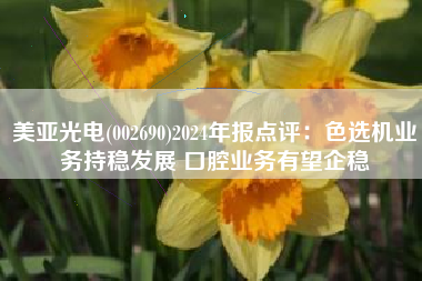 美亚光电(002690)2024年报点评：色选机业务持稳发展 口腔业务有望企稳
