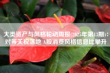 大类资产与风格轮动周报(2025年第13期)：对等关税落地 A股消费风格信息比攀升