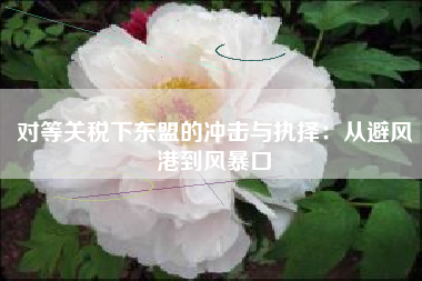对等关税下东盟的冲击与执择：从避风港到风暴口