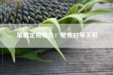 策略定期报告：聚焦对等关税