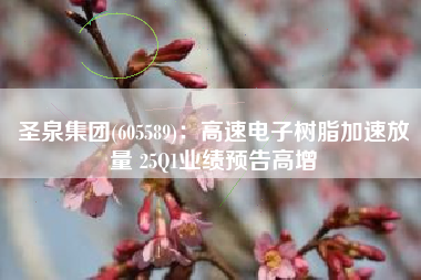 圣泉集团(605589)：高速电子树脂加速放量 25Q1业绩预告高增