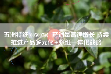 五洲特纸(605007)：产销量高速增长 持续推进产品多元化+浆纸一体化战略