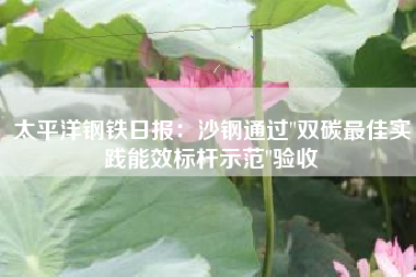太平洋钢铁日报：沙钢通过