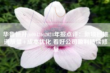 华鲁恒升(600426)2024年报点评：新项目推进放量+成本优化 看好公司盈利持续修复