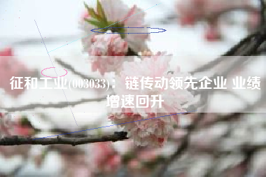 征和工业(003033)：链传动领先企业 业绩增速回升