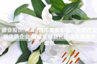 德业股份(605117)首次覆盖报告：光储逆变器优势企业 受益全球新兴市场光储需求增长
