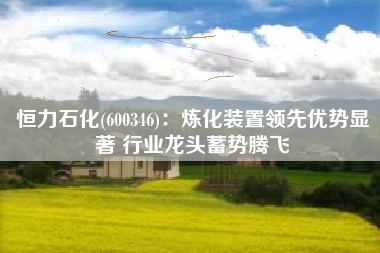 恒力石化(600346)：炼化装置领先优势显著 行业龙头蓄势腾飞